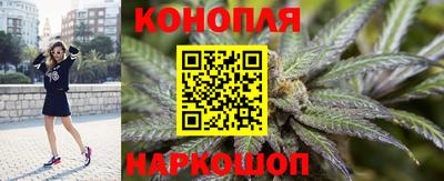 прущие крисы Пенза