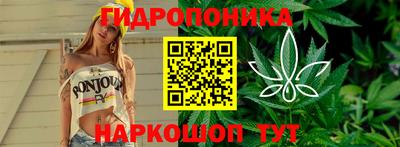 прущие крисы Пенза