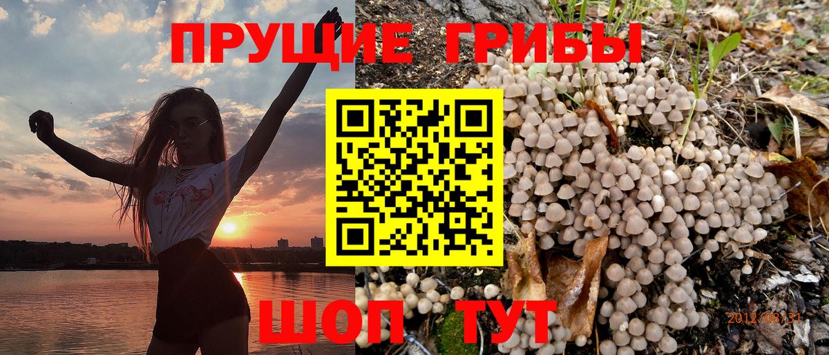 наркотики  Вход с VPN  Северск  Галлюциногенные грибы MAGIC MUSHROOMS 